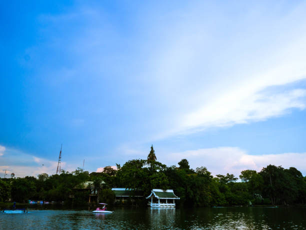 istock Beautiful nature in the park bangkok 1004789028