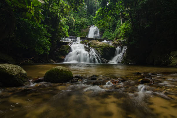 istock waterfall stream surrounded by green tropical green forest 1004789388