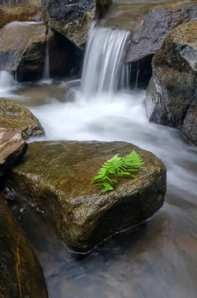 Photo of beautiful tropical cascaded river flowing through