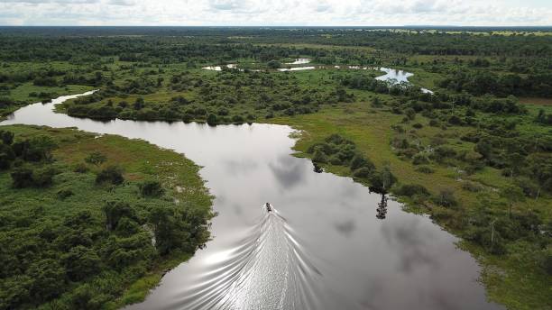 istock boat in the wetland 1004797506