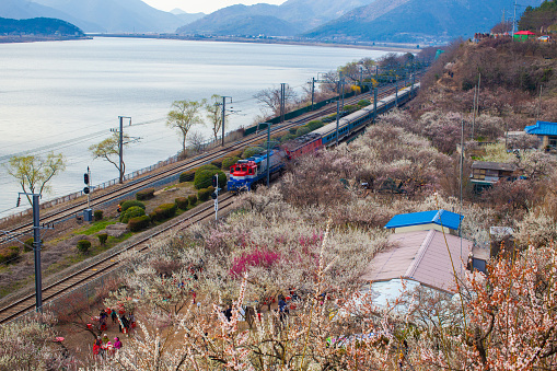 Sunmaewon in South Korea. Train is approaching