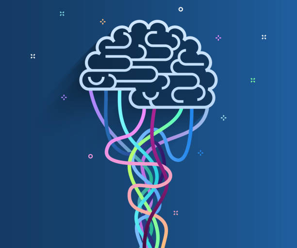 The brain is connected to the network. vector art illustration