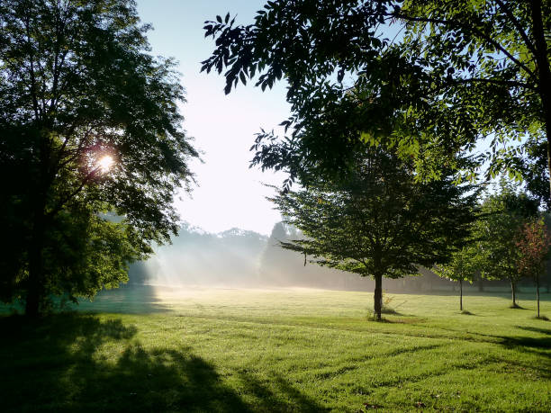 istock Prater park in early morning sunlight 3 1004818154
