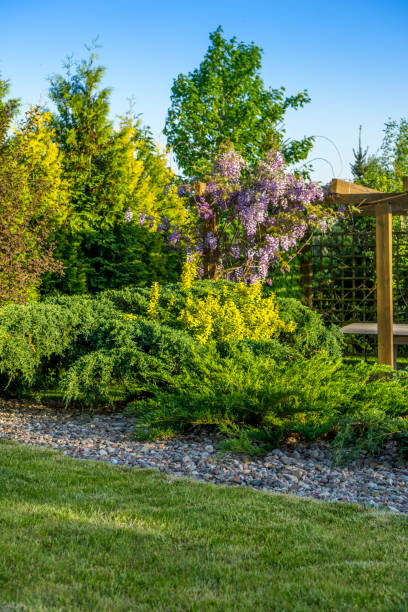 istock green summer garden and garden gazebo 1004827362