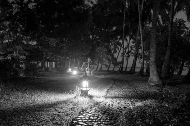 Monochrome night way with lanterns in tropical palm resort