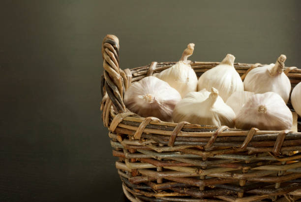 istock Basket of garlics 1004835688