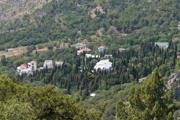 istock beautiful houses surrounded by dense high trees 1004836334