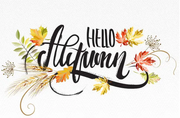 Vector illustration of Vector illustration with lettering Hello autumn