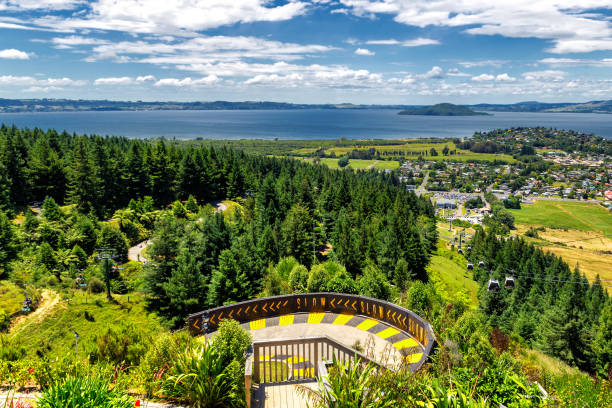 Rotorua lake and luge ride track view from the top of the hill, New Zealand Rotorua lake and luge ride track view from the top of the hill, New Zealand rotorua luge stock pictures, royalty-free photos & images