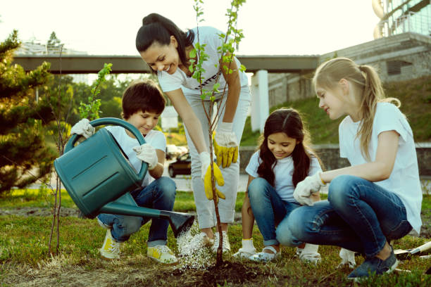 istock Attentive boy pouring young plant 1004853286