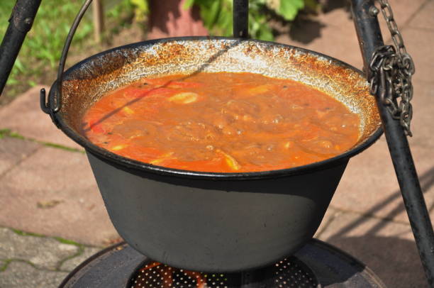 Cooking in a cauldron on an open fire in nature