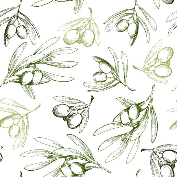 ilustrações de stock, clip art, desenhos animados e ícones de seamless pattern with olive branch. drawn by hand - olives
