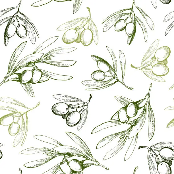 Vector illustration of Seamless pattern with olive branch. Drawn by hand