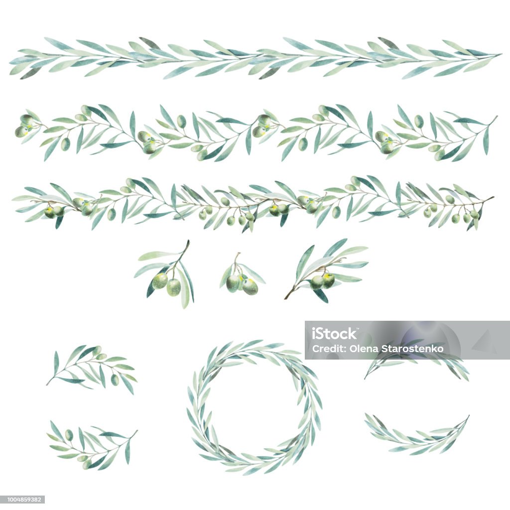 Watercolor olive branch. Sketch of olive branch on white background Olive - Fruit stock vector