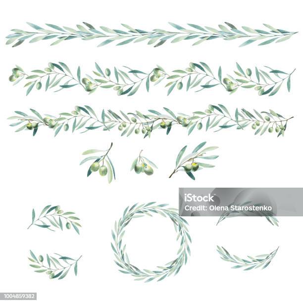Watercolor Olive Branch Sketch Of Olive Branch On White Background Stock Illustration - Download Image Now