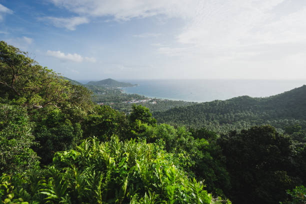 istock Koh Tao island viewpoint 1004859910