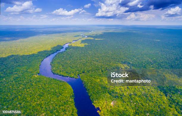 Amazon River In Brazil Stock Photo - Download Image Now - Amazon River, Aerial View, Amazon Rainforest