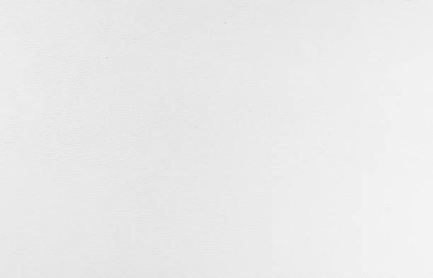 istock White cement texture, stone concrete. Painted flat fade pastel background. White grey solid floor grain. 1004882348