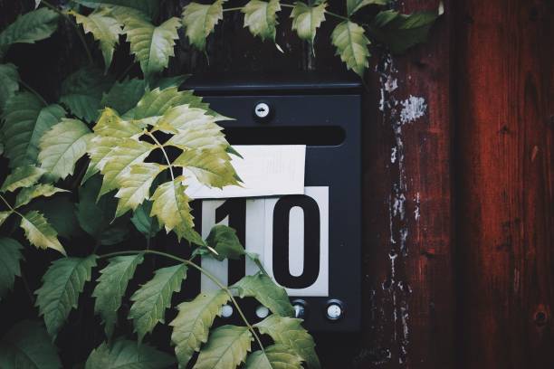 istock Close-Up Of Plant By Mailbox 1004882898