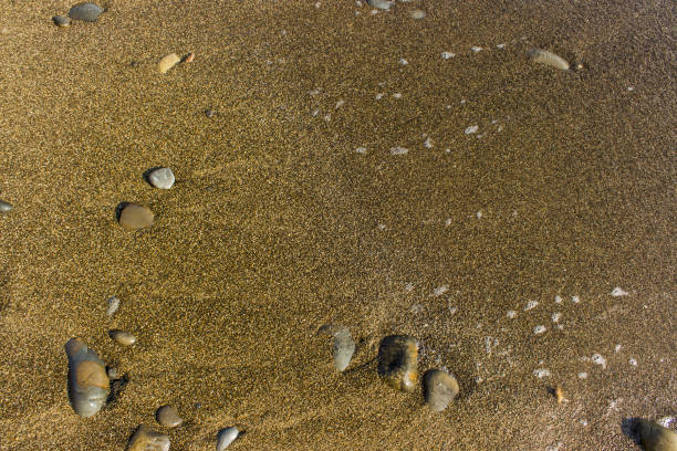 istock Coastal dry sea pebbles in the sand 1004897260