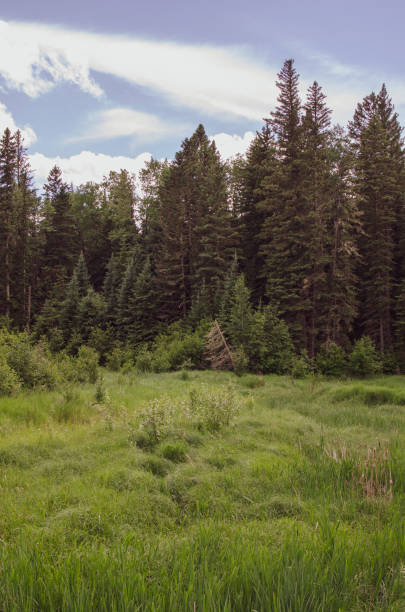 istock Manitoba Landscape in Duck Mountain Provincial Park 1004901126