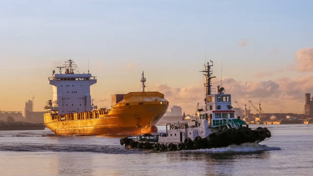istock pilot a ship is navigating a cargo ship to the gulf of Thailand. 1004901648