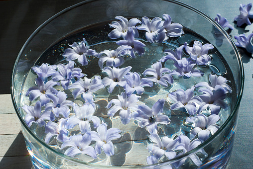 scented hyacinth flowers in aromatherapy bowl