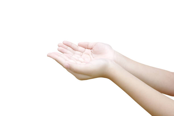 istock Palms isolated on white background. Female empty hands 1004904380