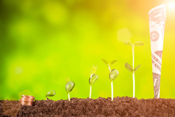 istock bussiness investment:coin growing in soil on green background 1004905262