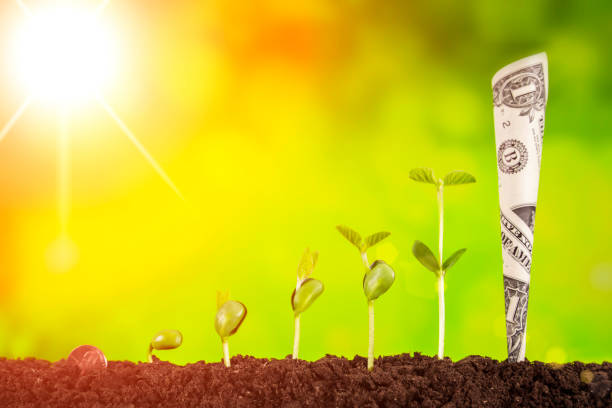 istock bussiness investment:coin growing in soil on green background 1004905314
