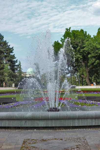 istock Flowers in public park 1004905360