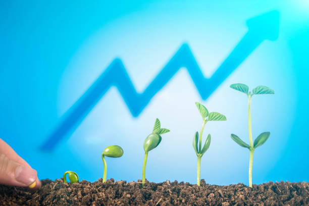 istock Bussiness growth:new life growing on green background 1004905366