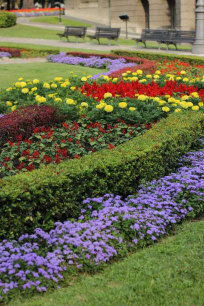 istock Flowers in public park 1004905666