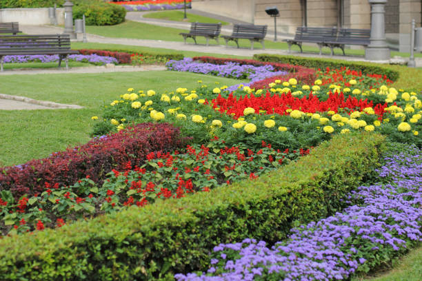 Colorful flower bed in Belgrade public park