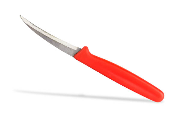 istock Fruit carving knife  ,isolated on white background with clipping path. 1004908170