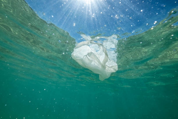 istock Plastic bag floating in the sea. 1004914792