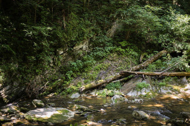 istock Beautiful Landscape Scenery Rocky River Flowing Through a Virginia Forest with Mountains 1004914840