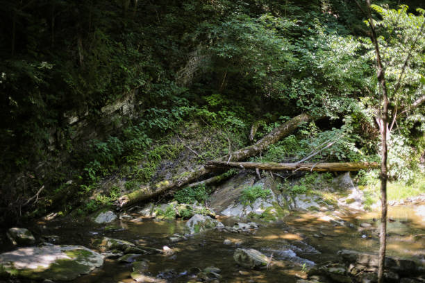 istock Beautiful Landscape Scenery Rocky River Flowing Through a Virginia Forest with Mountains 1004914946