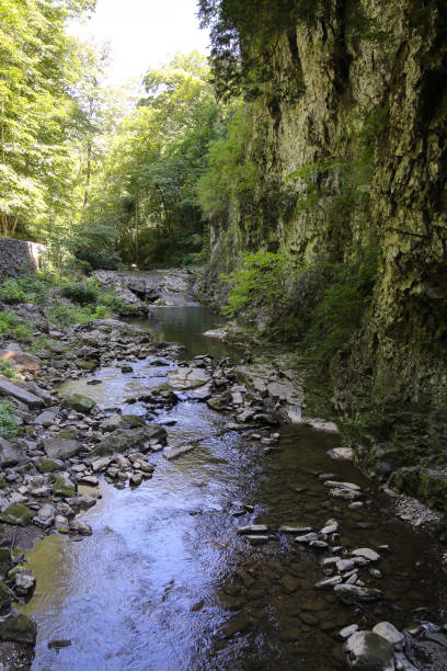 istock Beautiful Landscape Scenery Rocky River Flowing Through a Virginia Forest with Mountains 1004922366
