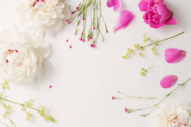 istock summer flowers on white paper background 1004922442