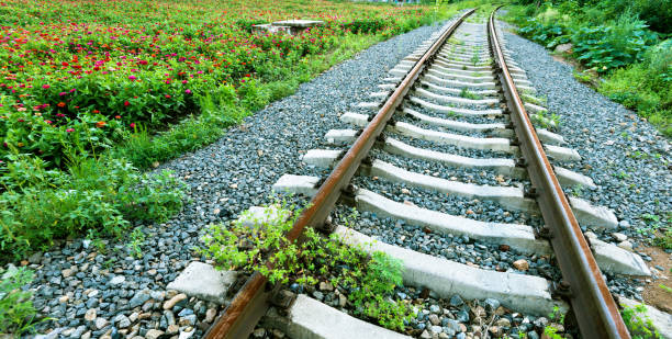 istock The abandoned rails was overgrown with weeds 1004922972