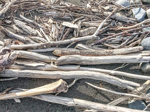 Driftwood background. Picture was taken in Interior Alaska.  Driftwood alongside The Copper River, famous for its Salmon
