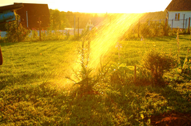 water sprinkler spray garden background