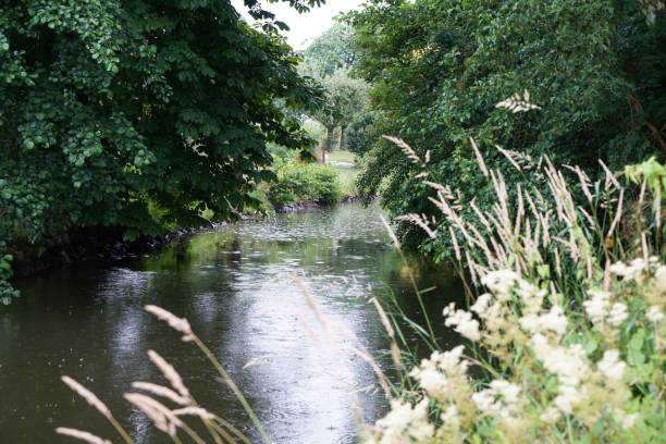 istock Heavy rain on a summer day 1004940776