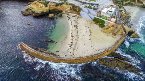 istock Drone view California beach sunrise 1004943310