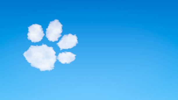 istock Dog or Cat Footprint Symbol Shaped Cloud 1004952696