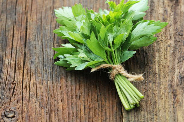 mazzo di erba lovage su sfondo di legno - levisticum officinale foto e immagini stock