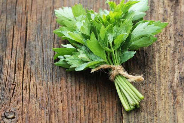 Bunch of lovage herb on wooden background stock photo