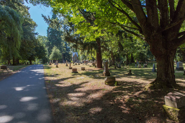 istock Lone Fir Cemetery 1004974410