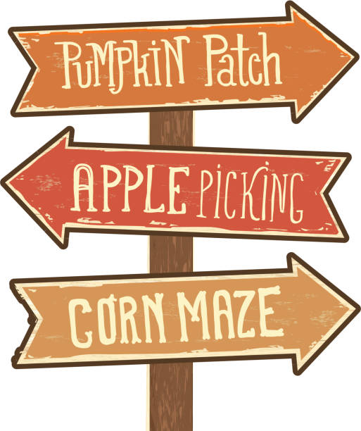パンプキン パッチ、りんご狩り、とうもろこし畑の迷路を指し示す矢印の付いた木製の看板を投稿します。 - pumpkin patch点のイラスト素材／クリップアート素材／マンガ素材／アイコン素材